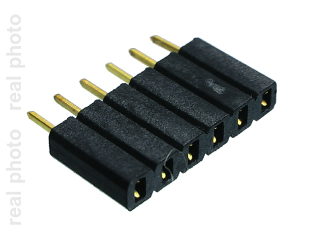 1x06 Female socket straight (10pcs)