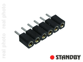 1x06 Female socket straight